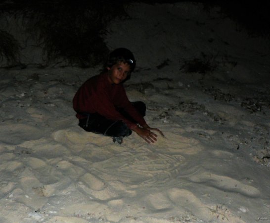 41- Bastien dessine une tortue pour les attirer 